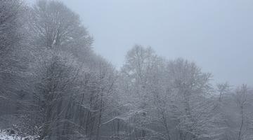 Tokat'ın yüksek kesimleri beyaza büründü