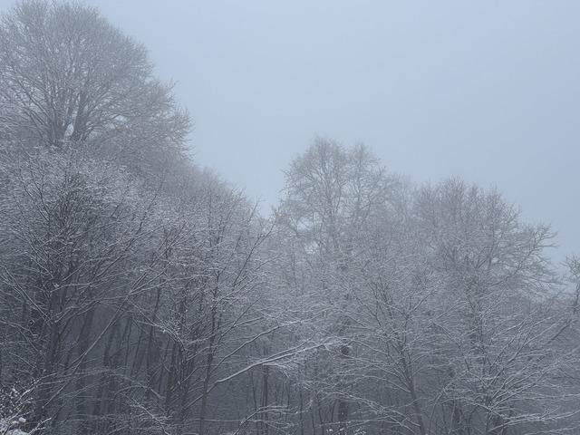 Tokat'ın yüksek kesimleri beyaza büründü