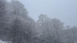 Tokat'ın yüksek kesimleri beyaza büründü