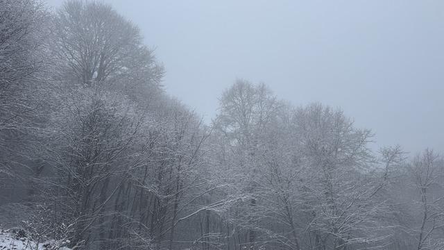 Tokat'ın yüksek kesimleri beyaza büründü