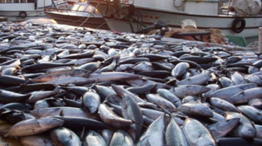 Helal balık ve parf&uuml;m geliyor