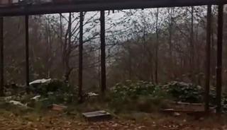 Rize&rsquo;de ayılara demir profilli tezgah da &ccedil;are olmadı