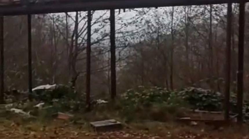 Rize&rsquo;de ayılara demir profilli tezgah da &ccedil;are olmadı