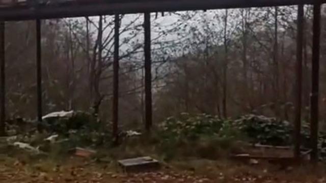 Rize’de ayılara demir profilli tezgah da çare olmadı