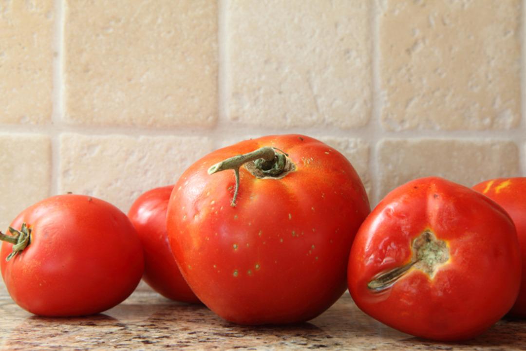 Çürüyünce çöpe atmayın: Bu domatesler kullanılırsa çok değerli! 1