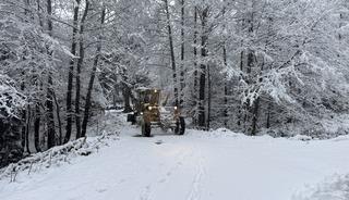 Artvin'de kar etkili oldu
