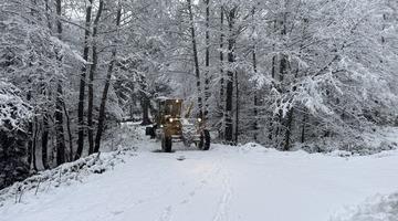 Artvin'de kar etkili oldu