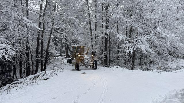 Artvin'de kar etkili oldu