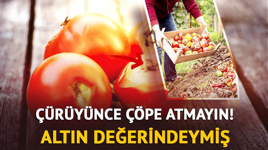 Çürüyünce çöpe atmayın: Kullanılırsa çok değerli!