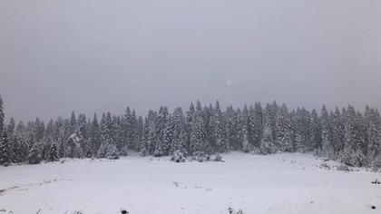 Sinop'un yüksek kesimleri beyaza büründü