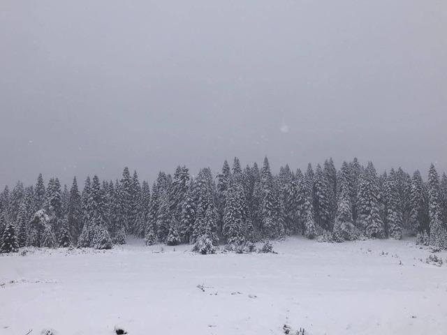 Sinop'un yüksek kesimleri beyaza büründü