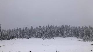 Sinop'un yüksek kesimleri beyaza büründü