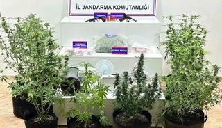 Yaban keçisi avlayan şahıslara 954 bin 208 lira ceza