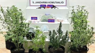 Karaman’da yaban keçisi avlayan şahıslara 954 bin 208 lira ceza