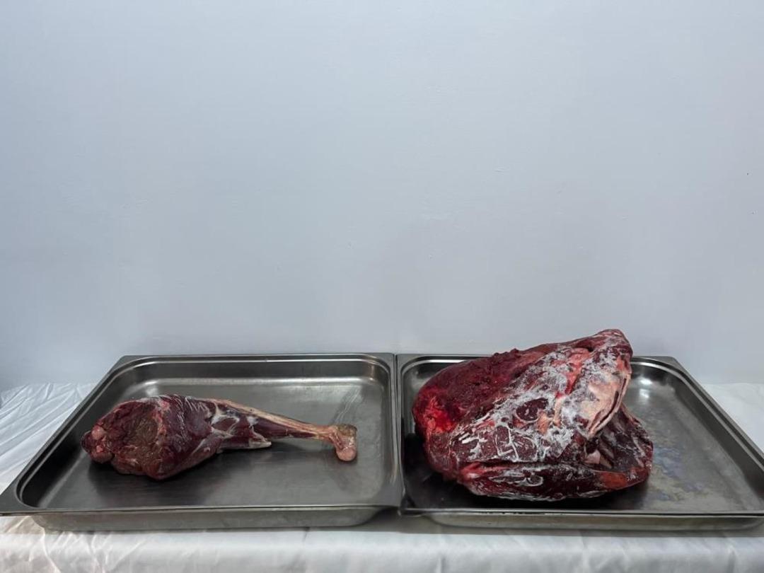 Karaman’da yaban keçisi avlayan şahıslara 954 bin 208 lira ceza 2