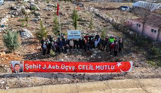 Mersinli şehit için oluşturulan hatıra ormanına yeni fidanlar dikildi