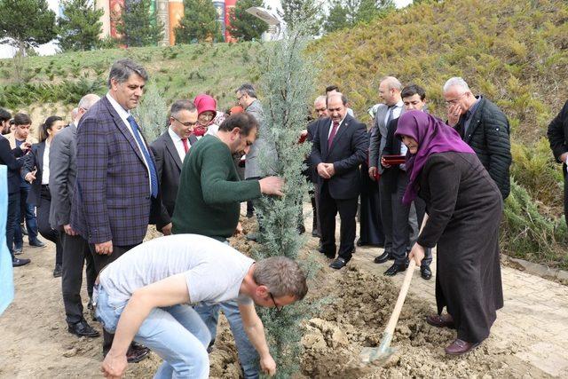 KBÜ’de şehitlerin anısına fidan dikildi