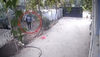 Kümeslerden tavuk çalan şüpheli tutuklandı