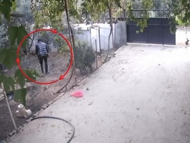 Kümeslerden tavuk çalan şüpheli tutuklandı