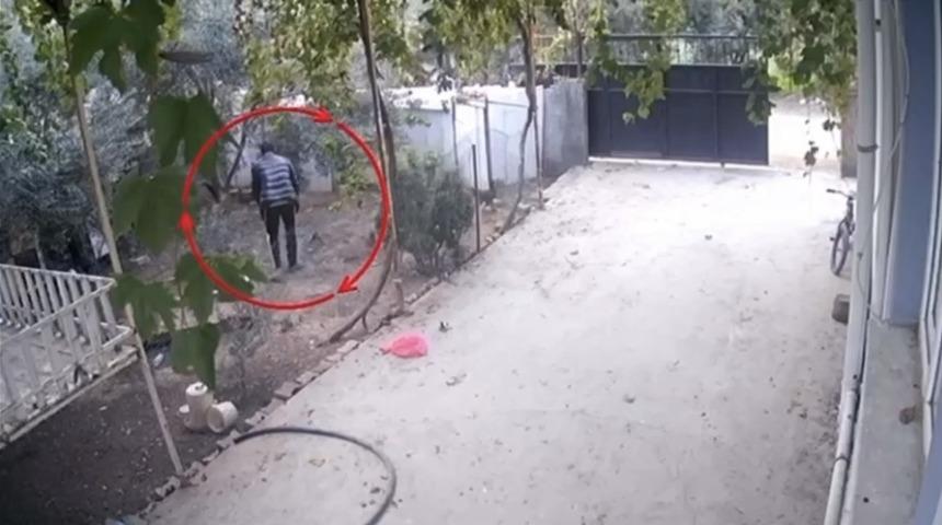 Kümeslerden tavuk çalan şüpheli tutuklandı