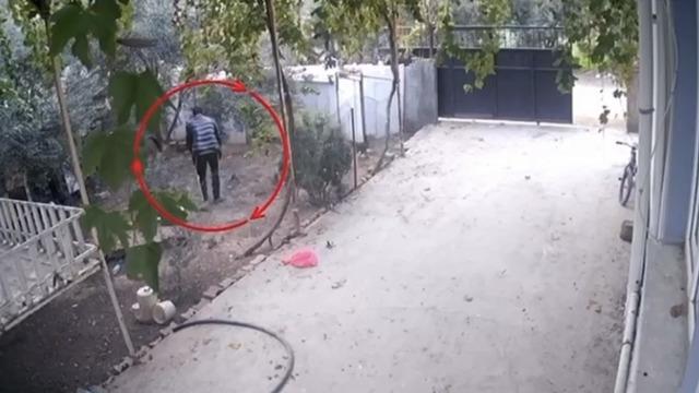 Kümeslerden tavuk çalan şüpheli tutuklandı