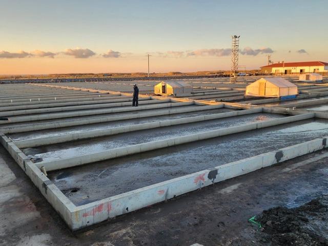 &Ccedil;anakkale'deki deniz solucanları yetiştiriciliği tesisi sekt&ouml;rde tek
