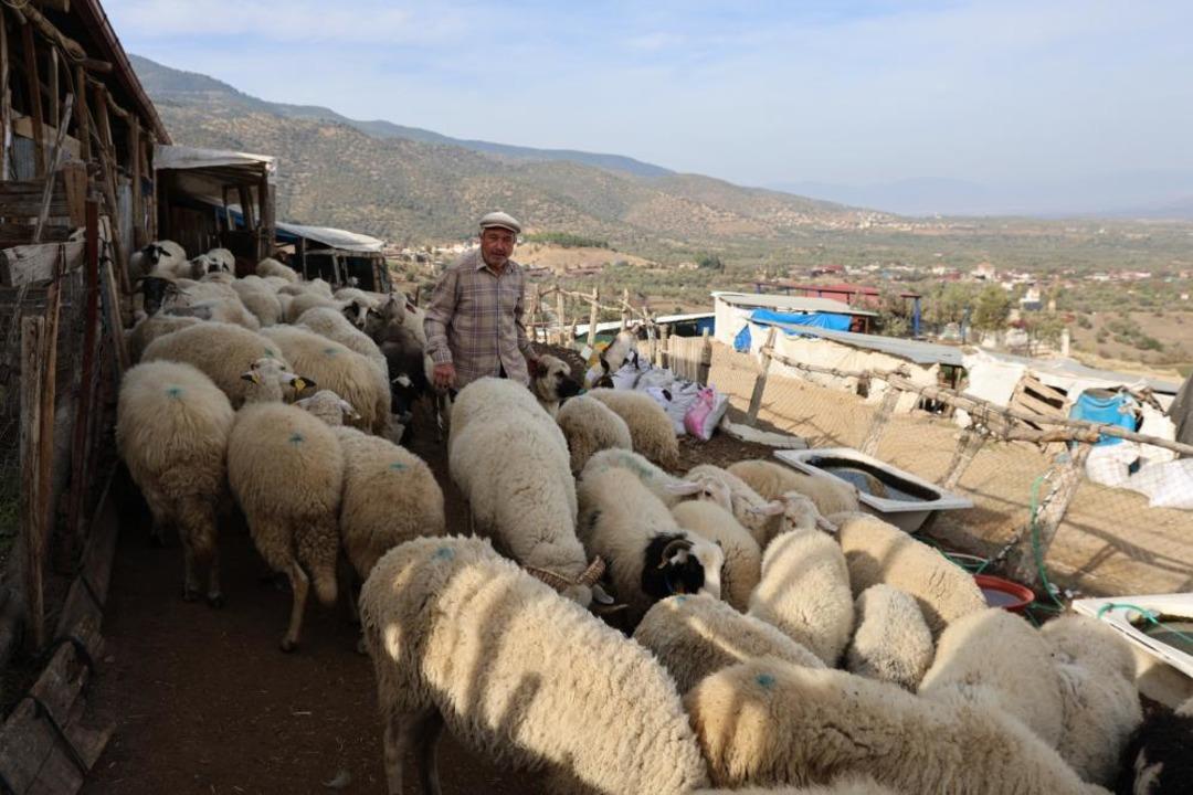 Şap karantinası meraları boşalttı 2