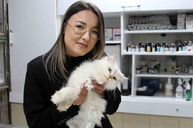 Kedide dünyada görülmemiş anomali: Başarılı operasyonla sağlığına kavuştu 4