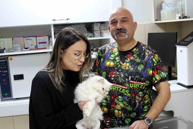 Kedide dünyada görülmemiş anomali: Başarılı operasyonla sağlığına kavuştu 3