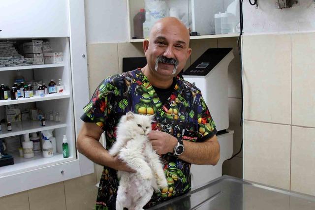 Kedide dünyada görülmemiş anomali: Başarılı operasyonla sağlığına kavuştu 2