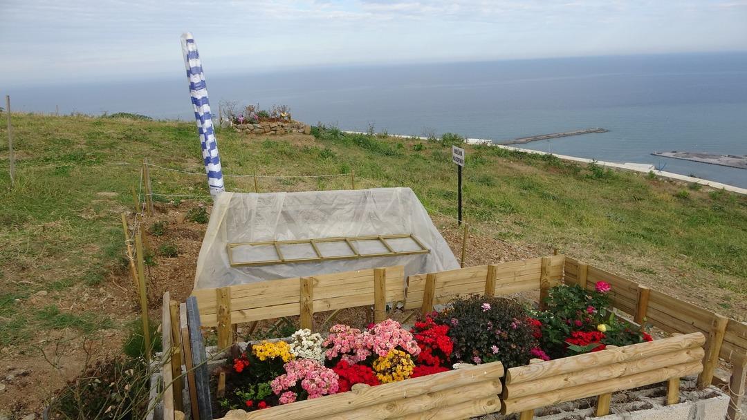 Fiyatı 34 bin TL Yoğun talep: 6 bin kişilik yerden 300 kişilik yer kaldı 7