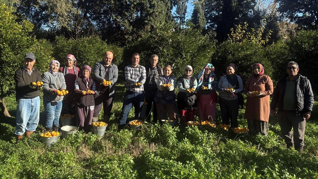 Bahçede 15 TL, manavda 100 TL: Yiyen bir daha bırakamıyor 2