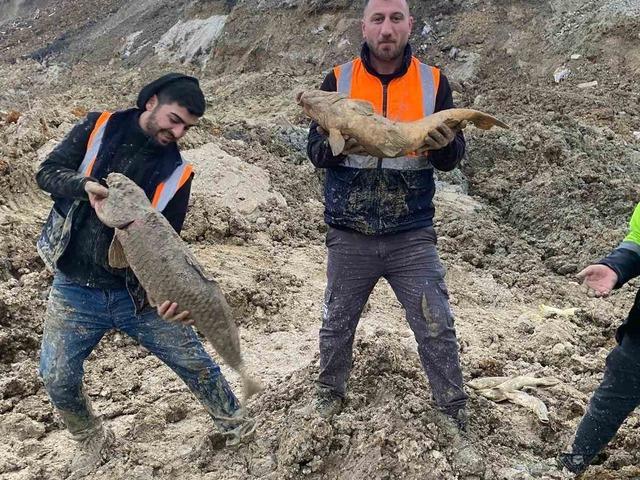 Yer İstanbul... Mavi G&ouml;l&rsquo;de balıklar can &ccedil;ekişiyor! 