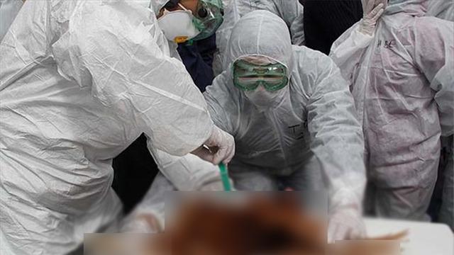 Yeni salgın kapıda mı? Uzmanlardan çarpıcı uyarı: Salgını durdurmak için 10 gün