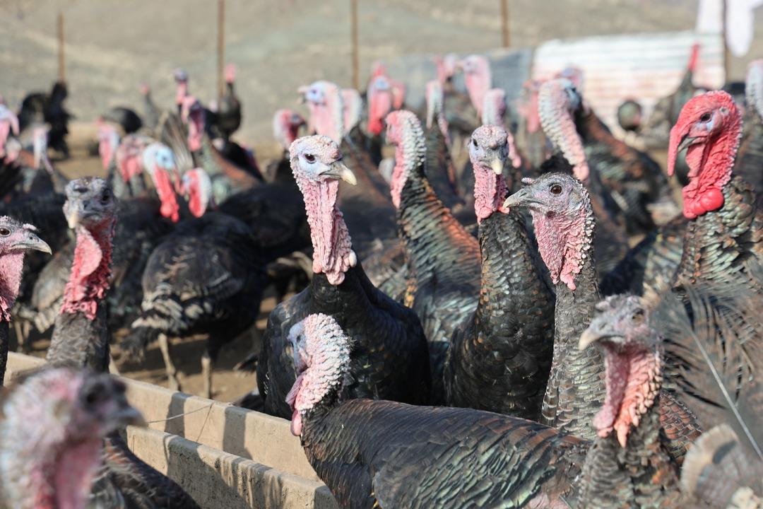 Almanya dan Elazığ a dönüp patron oldu Bilgimiz yoktu, sıfırdan başladık 3