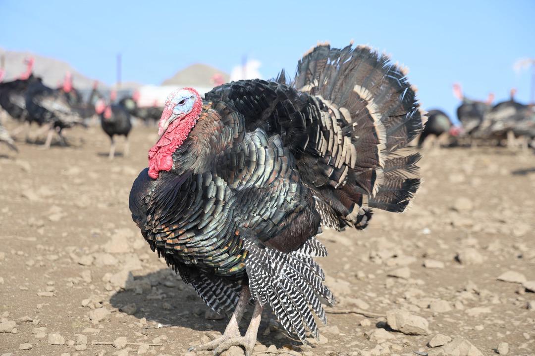 Almanya dan Elazığ a dönüp patron oldu Bilgimiz yoktu, sıfırdan başladık 4