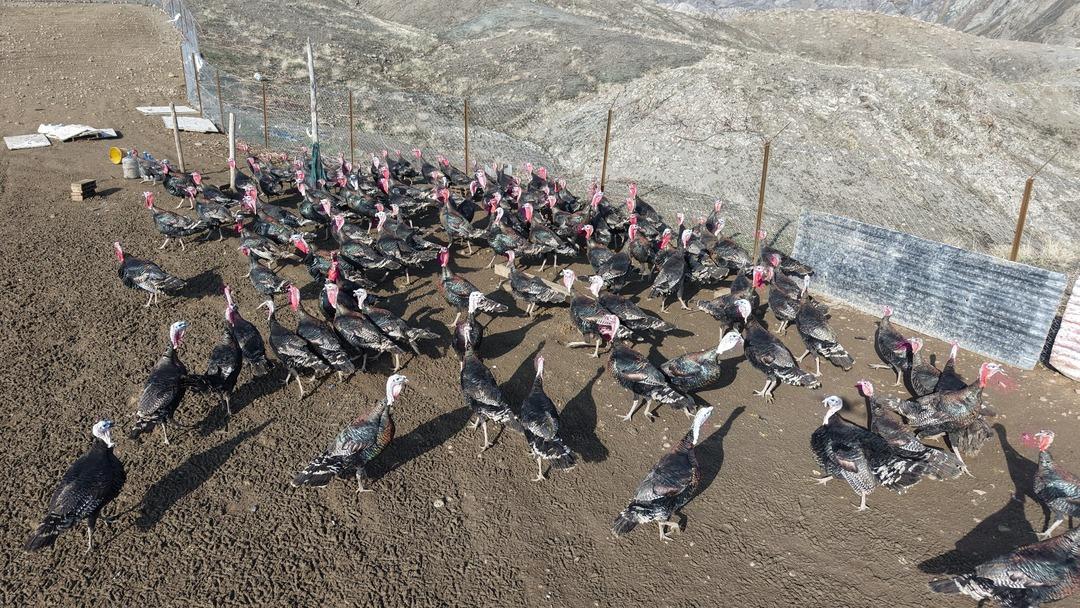 Almanya dan Elazığ a dönüp patron oldu Bilgimiz yoktu, sıfırdan başladık 6