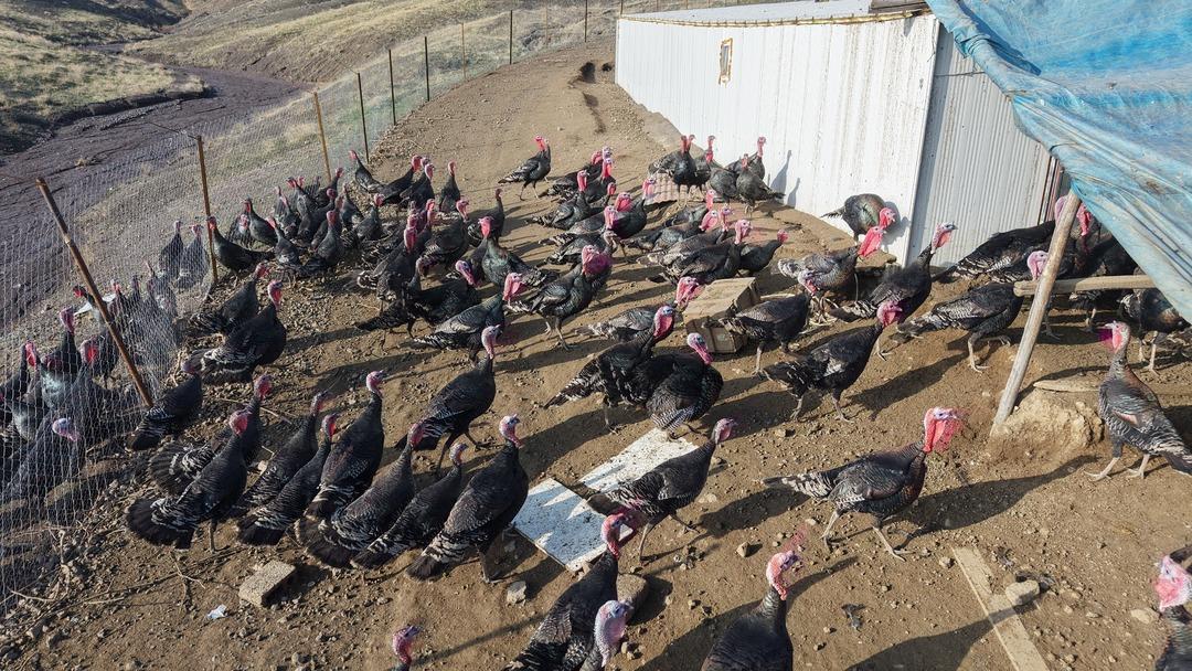 Almanya dan Elazığ a dönüp patron oldu Bilgimiz yoktu, sıfırdan başladık 2
