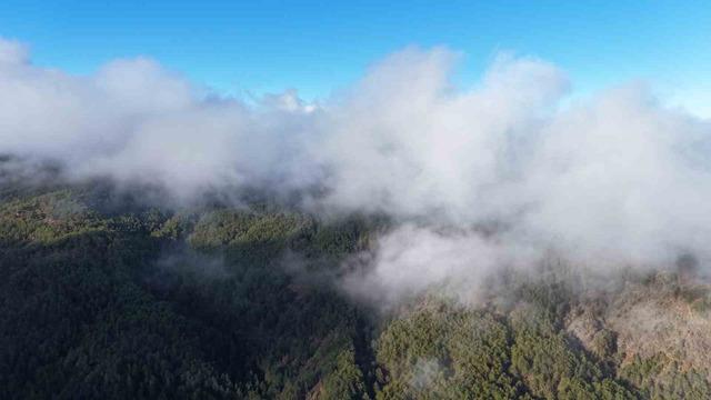 Kastamonu’da sis bulutları ve ormanların buluşması mest etti