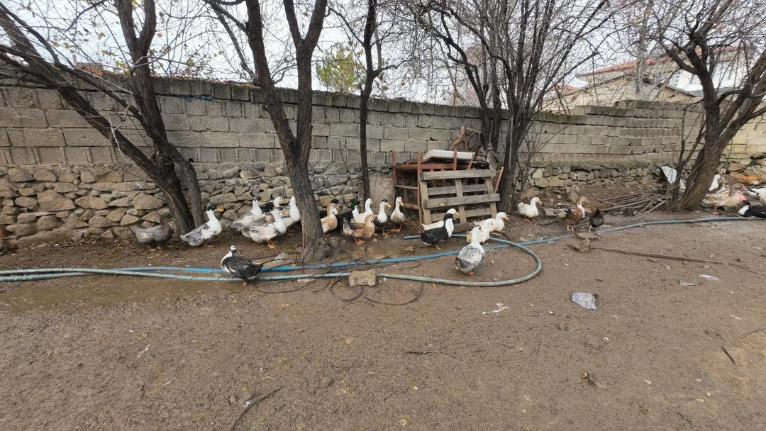 Asgari ücret yerine kendi işimi yapıyorum İstanbul dan sonra başladı 1