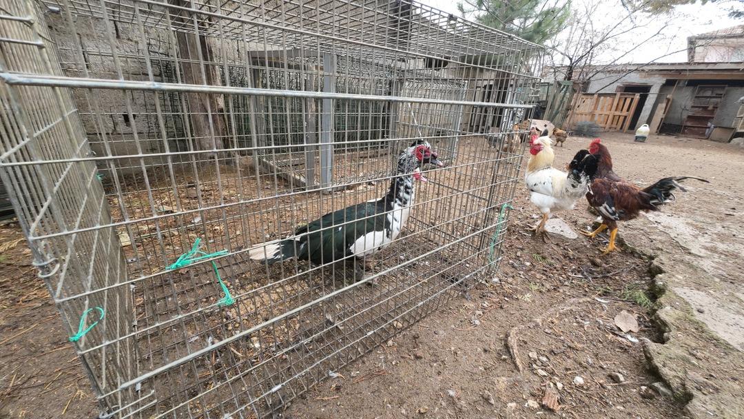 Asgari ücret yerine kendi işimi yapıyorum İstanbul dan sonra başladı 2