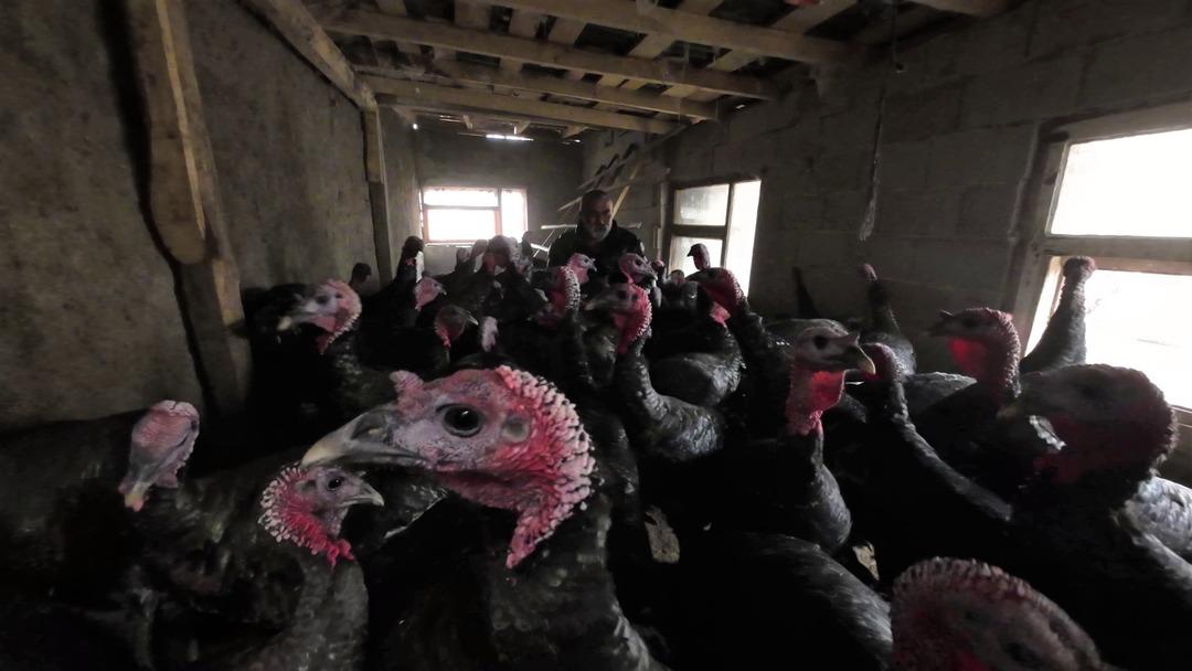 Asgari ücret yerine kendi işimi yapıyorum İstanbul dan sonra başladı 3