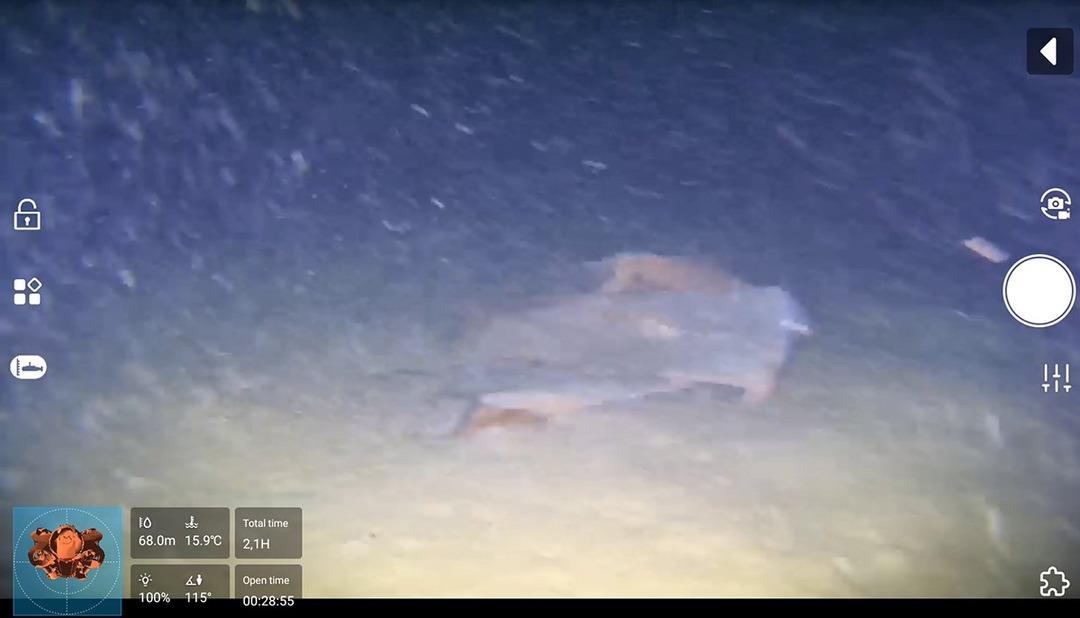 Fenomen isimden yeni hamle! Tarihi kaza 50 yıl sonra aydınlanıyor: Fatih Terim in kayınpederi, Seyyal Taner in kardeşi... 1