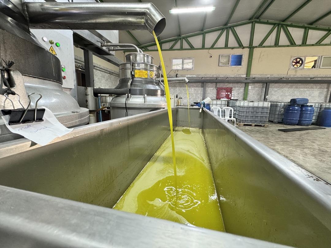 Muhtar tesis kurdu: Mahalleli başka ile gitmekten vazgeçti 1