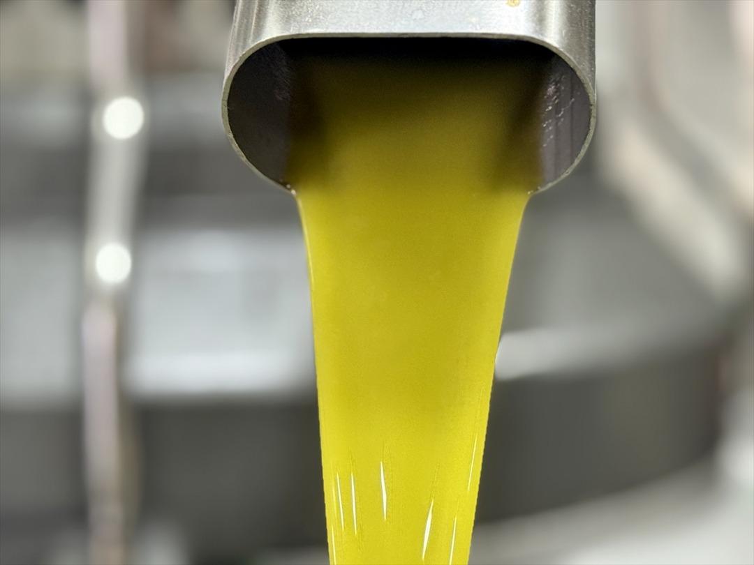 Muhtar tesis kurdu: Mahalleli başka ile gitmekten vazgeçti 11