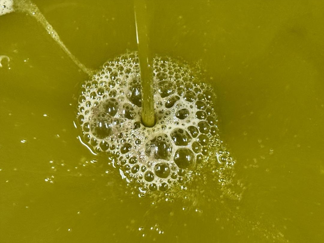 Muhtar tesis kurdu: Mahalleli başka ile gitmekten vazgeçti 3