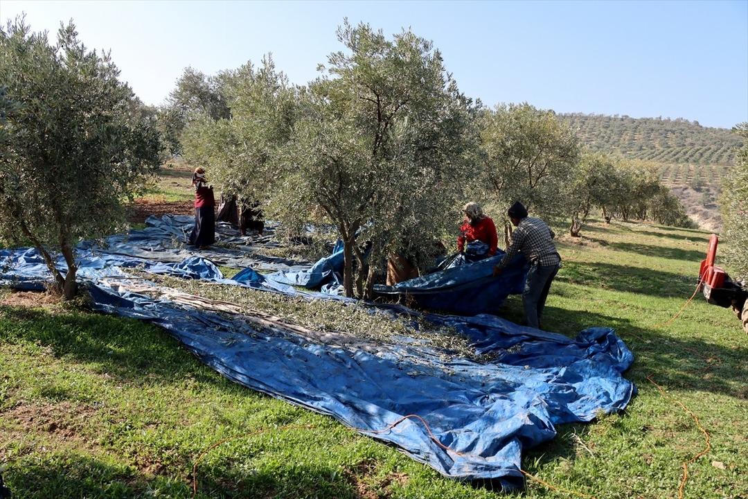 Muhtar tesis kurdu: Mahalleli başka ile gitmekten vazgeçti 4