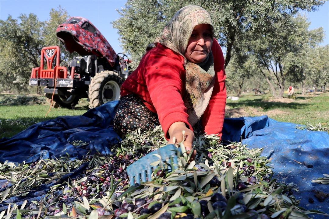 Muhtar tesis kurdu: Mahalleli başka ile gitmekten vazgeçti 9