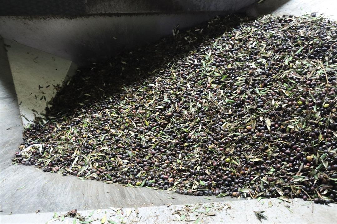 Muhtar tesis kurdu: Mahalleli başka ile gitmekten vazgeçti 10