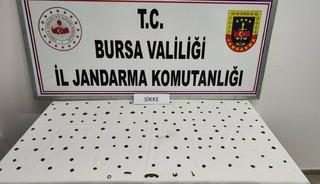 Bursa'da tarihi eser operasyonu! 143 sikke ele geçirildi, 2 zanlı yakalandı